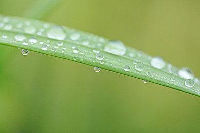 苹果：iPhone 15 Pro将成为你口袋中的最佳游戏主机